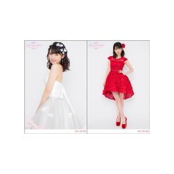 【e-LineUP!Mall限定】A5ワイドサイズ生写真2枚セット Part-2